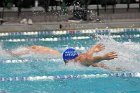 Swimming & Diving vs Babson  Swimming & Diving vs Babson College. - Photo by Keith Nordstrom : Wheaton, Swimming